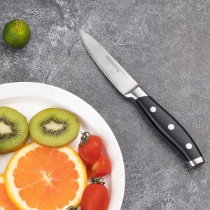 serrated paring knife