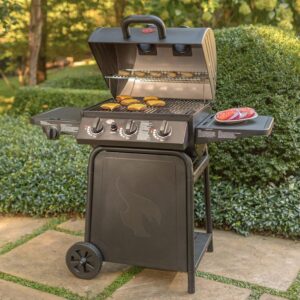 Best Gas Grill