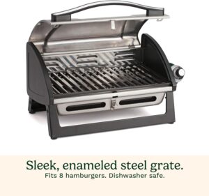 best natural gas bbq grill