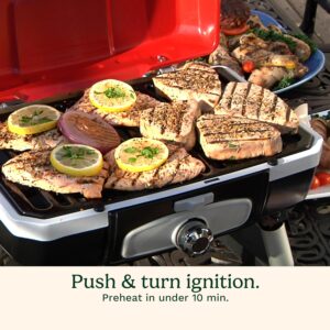 best small size gas grill